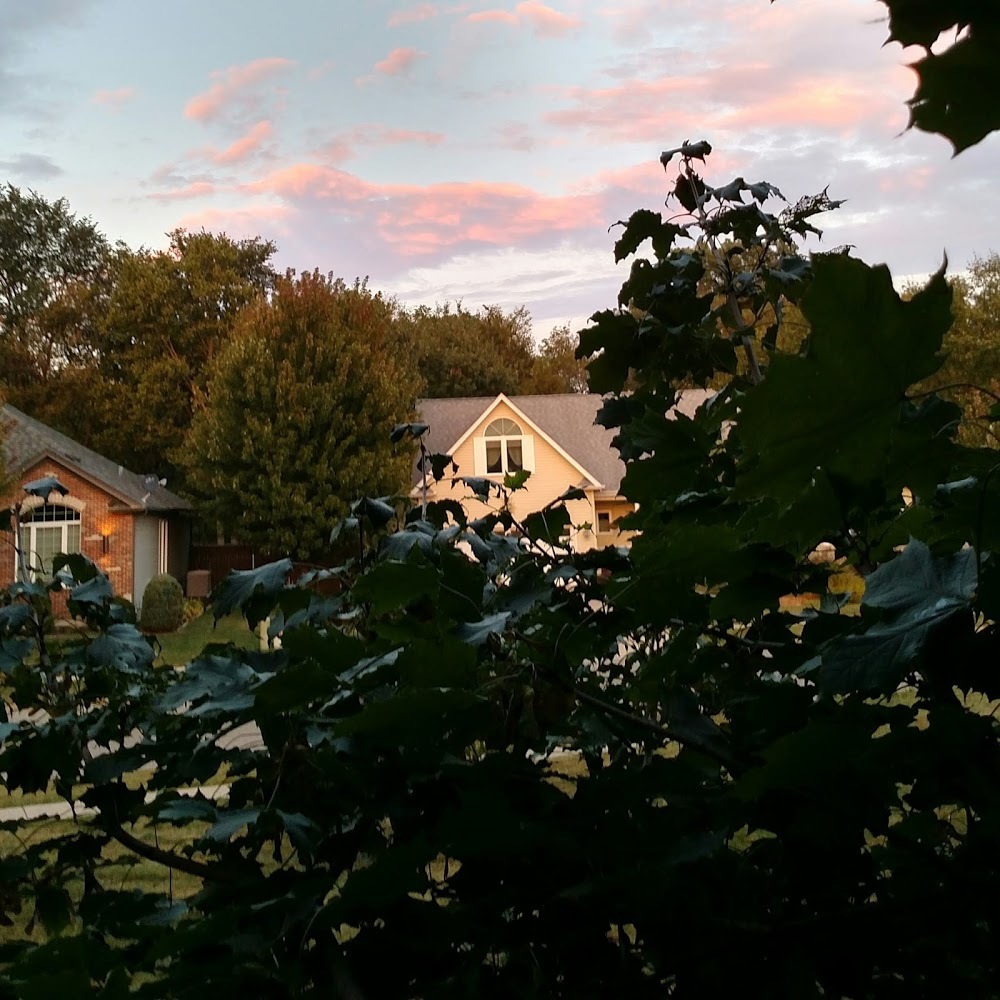 Meet your Posher, Maya